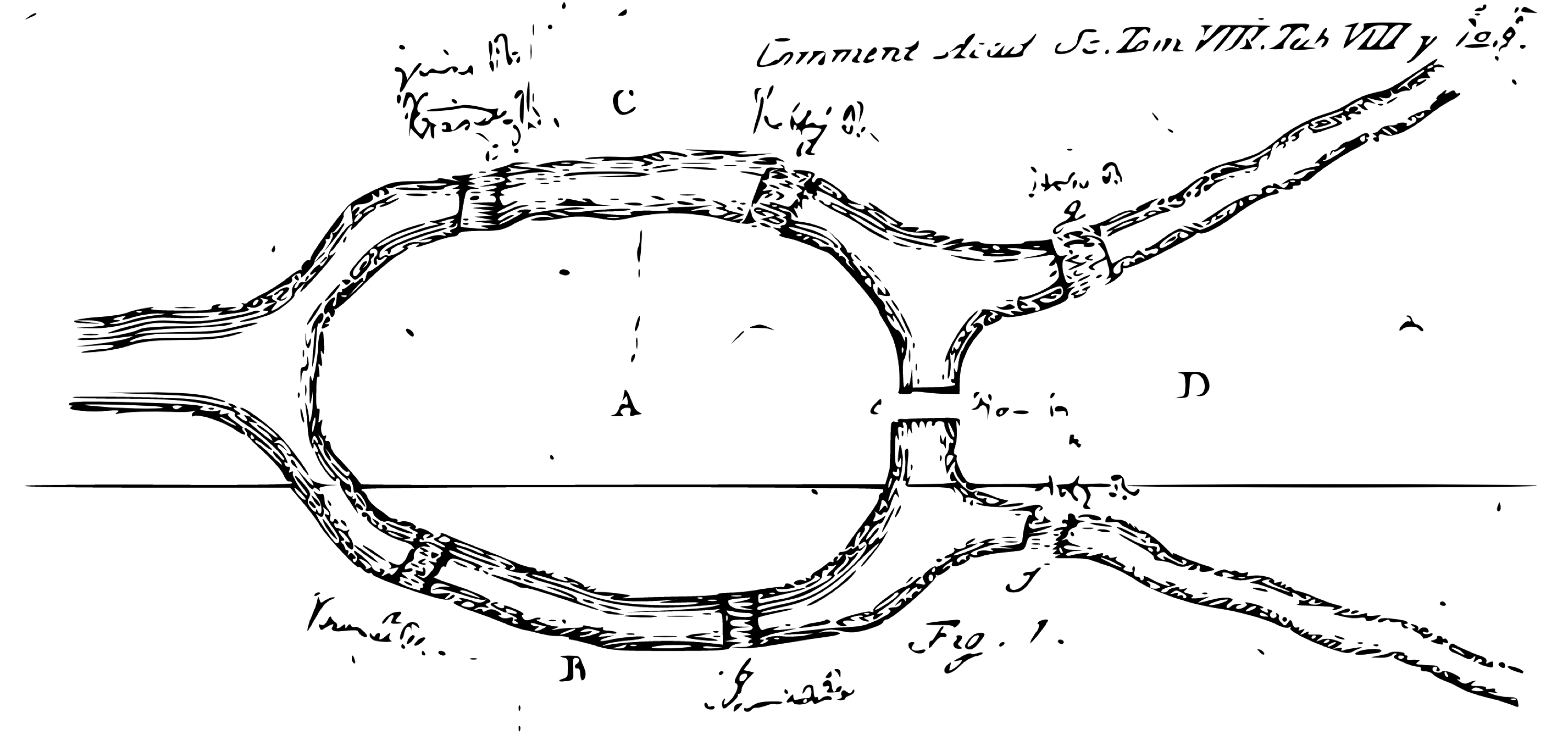 The Seven Bridges of Königsberg from the Euler archive